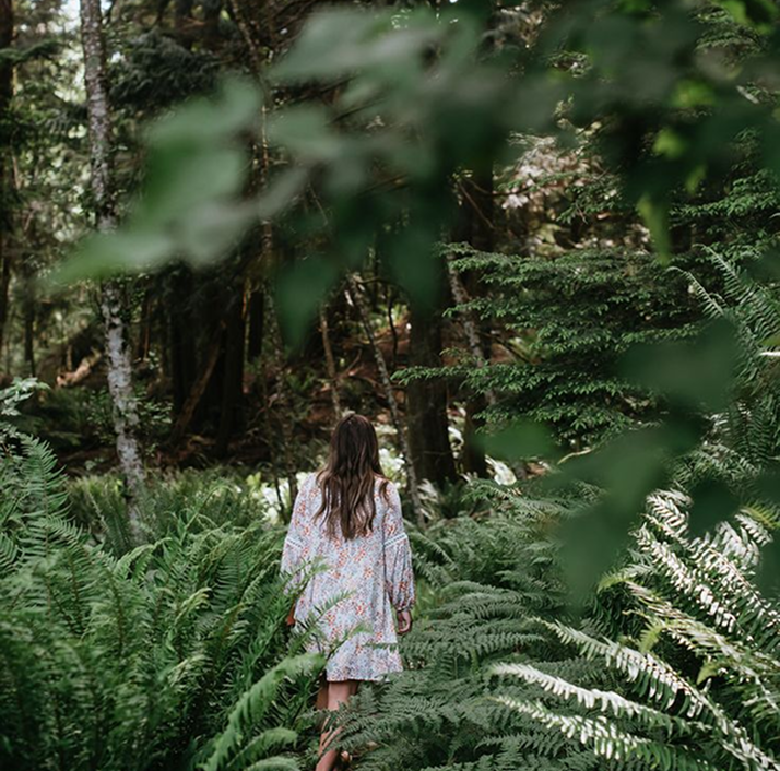 Water And Mind - The Flow Project