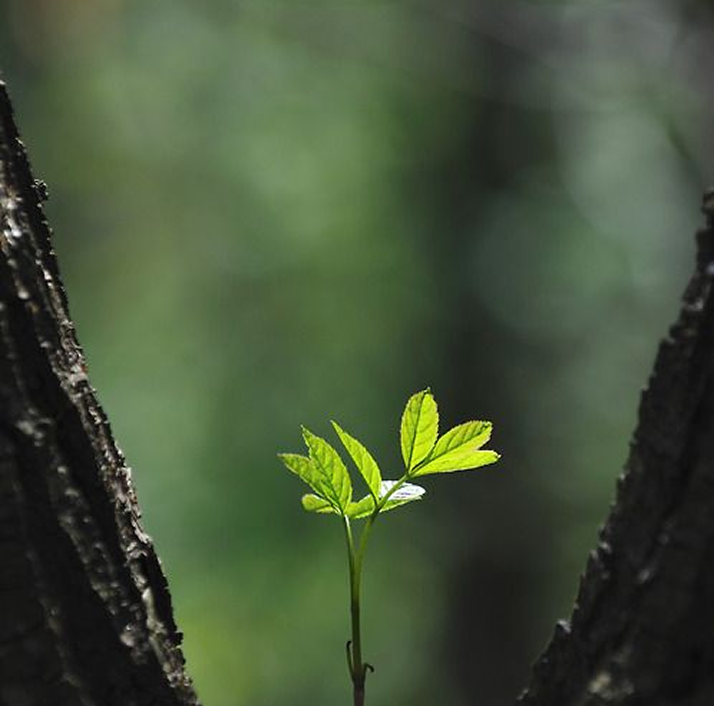 The Human–Nature Dialogue Archive