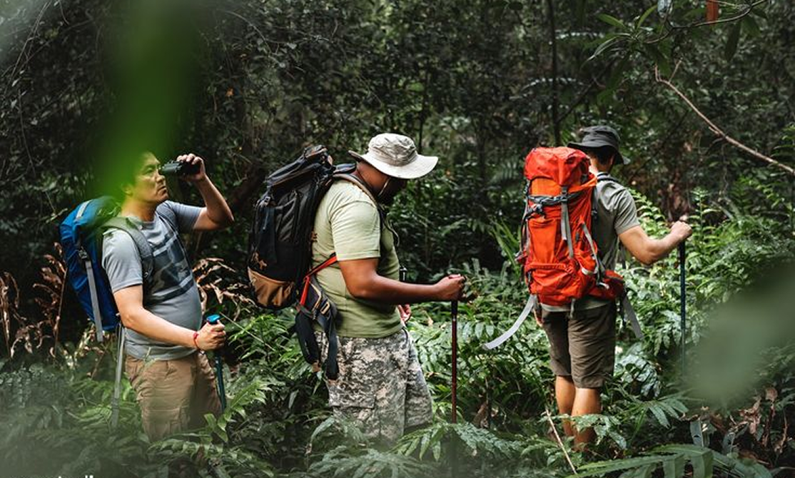 Hikers on nature trail in rainforest