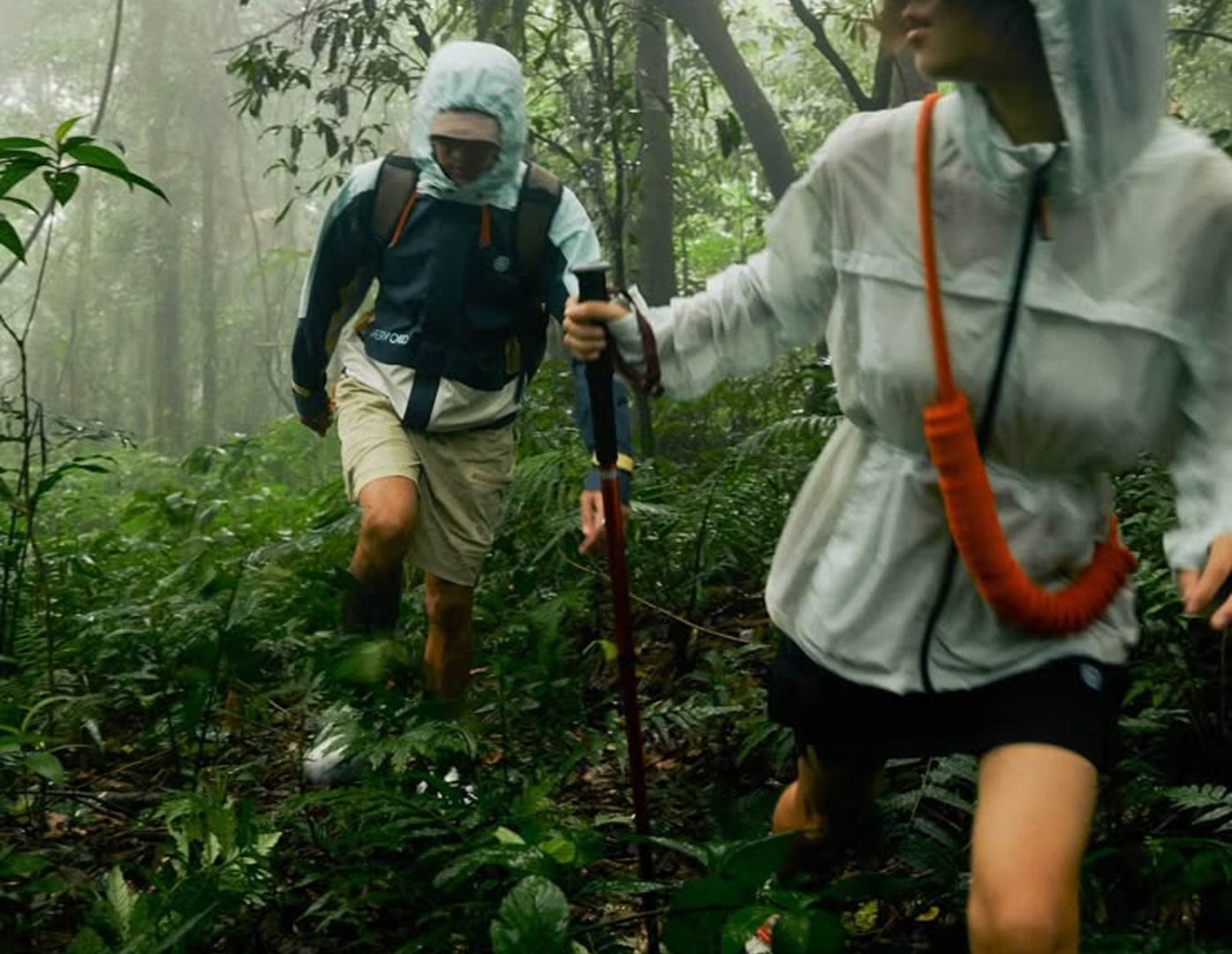 Rainforest scenery showing safety features